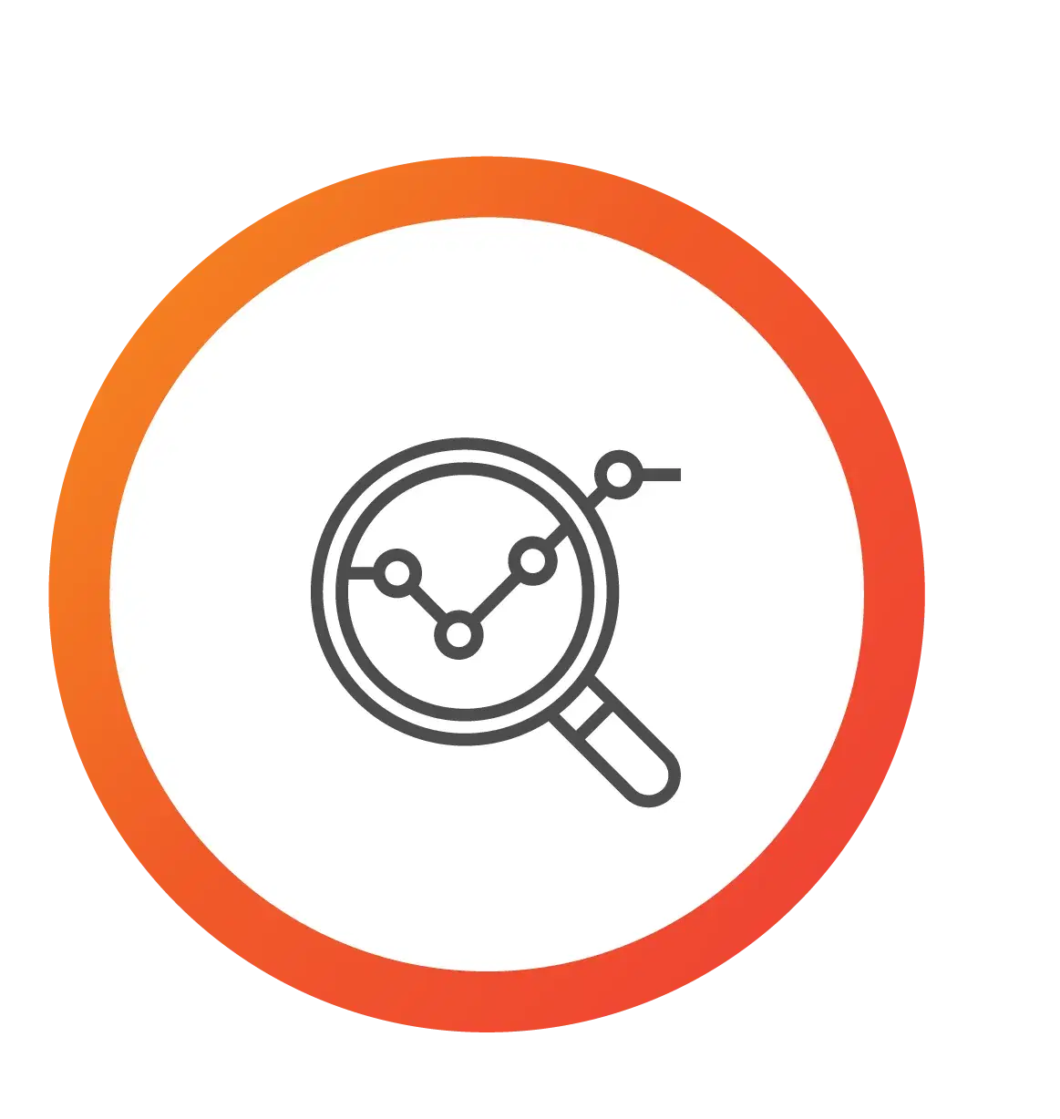 Project Assessment and Analysis