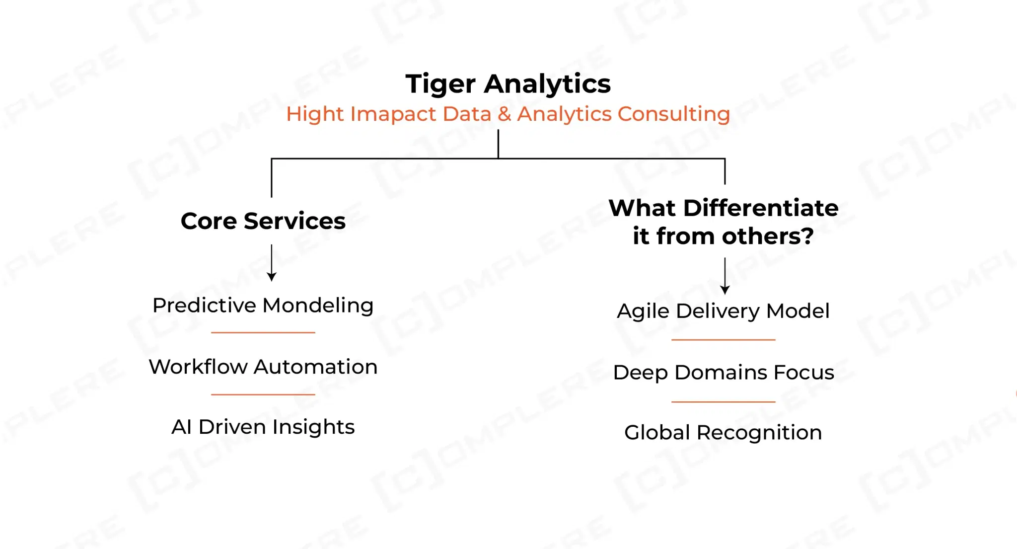 Tiger Analytics.webp