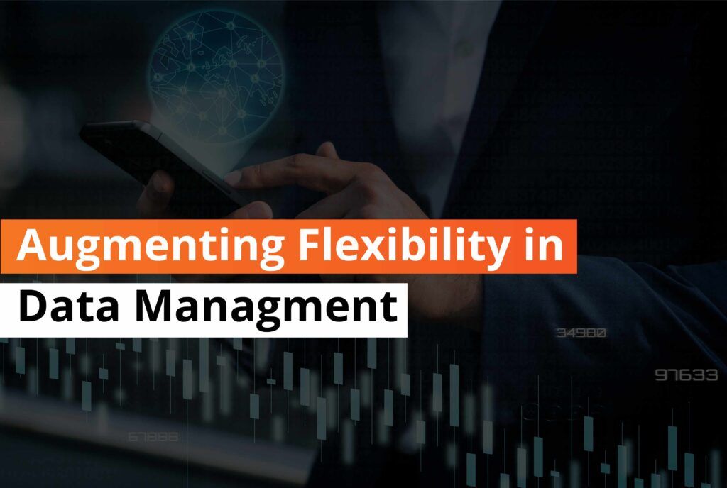 Augmenting Flexibility in Data Managment - Thumbnail